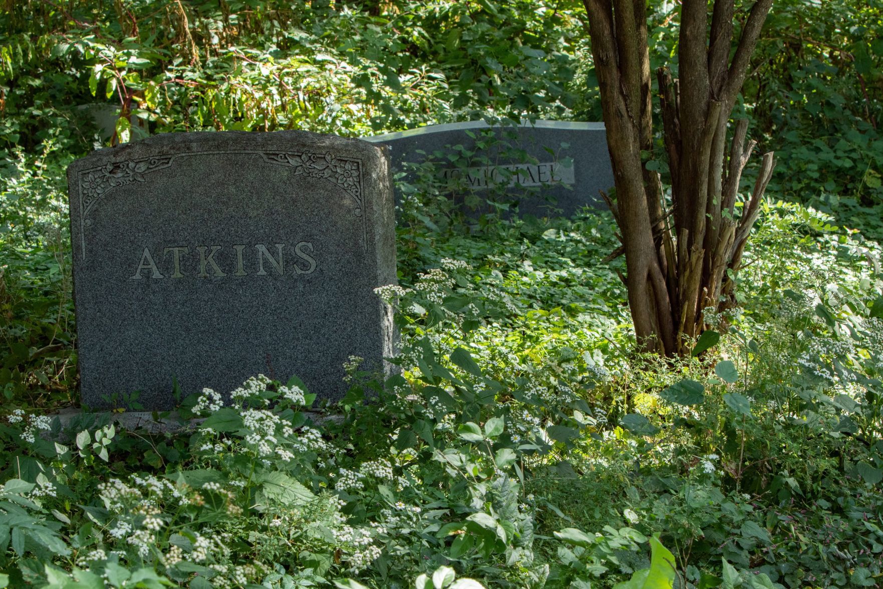 Washington Park Cemetery